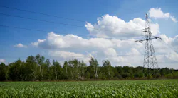Tomasz Jabłoński Dreamstime