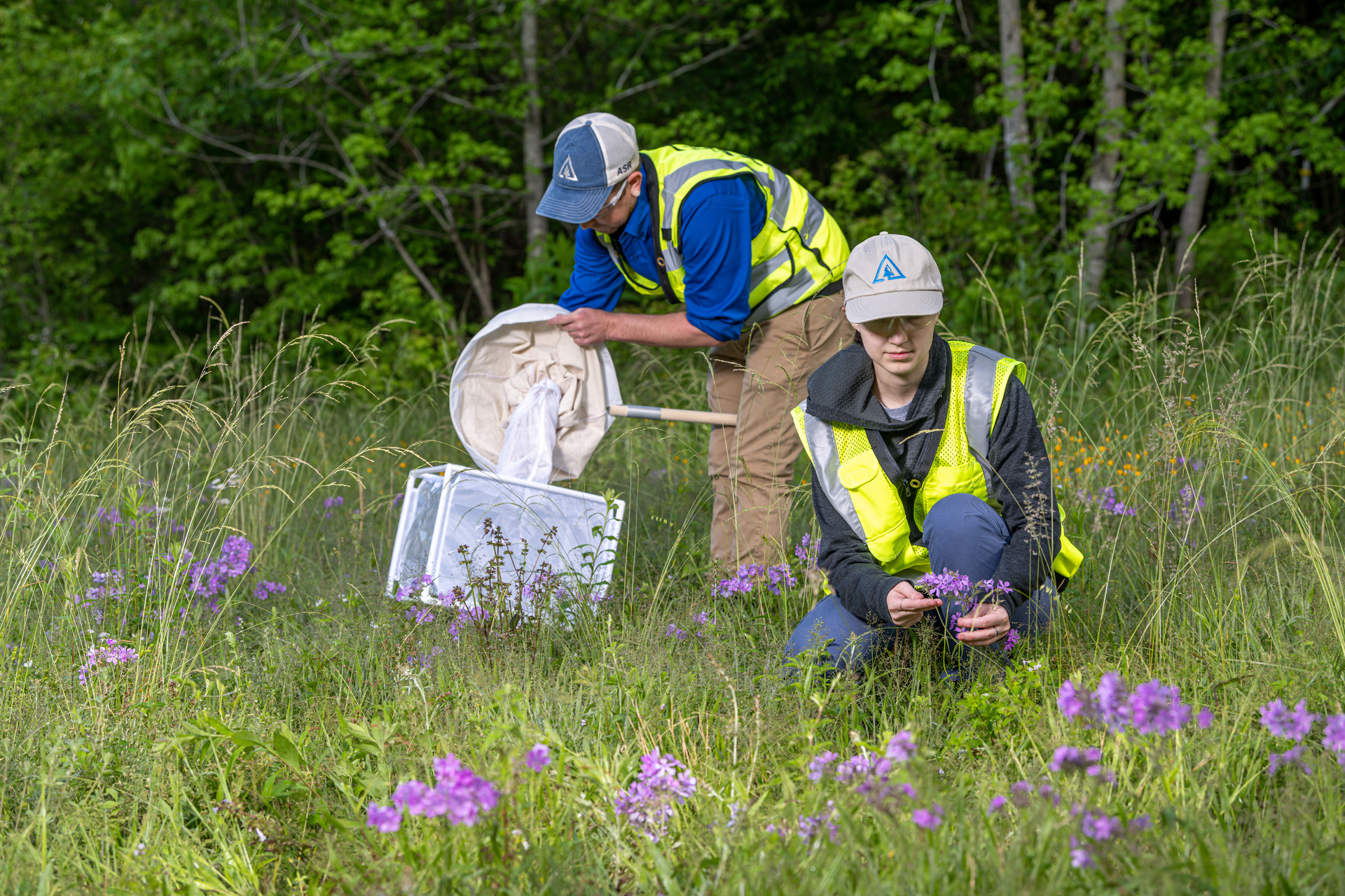 Evaluated habitat health often involves biologists actively conducting seasonal sampling to better define benefits associated with IVM.