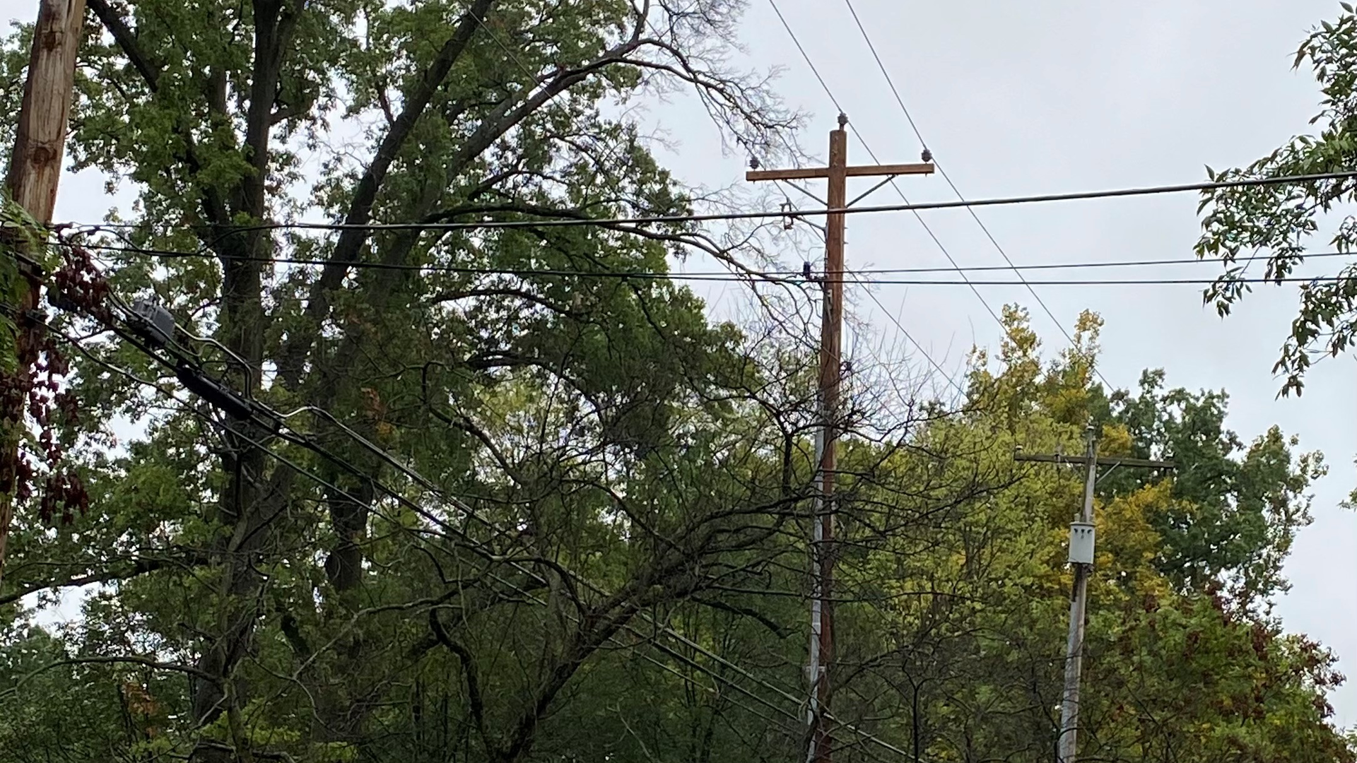 Dead Lead 6265ce6bbd968