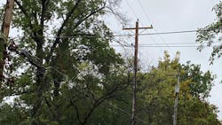 Dead Lead 6265ce6bbd968 Dead Lead 6265ce6bbd968