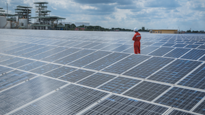 Watchara Kokram Dreamstime