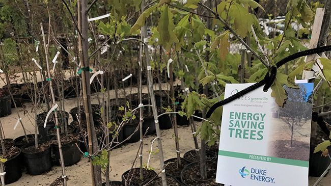 News Release Sc Trees Mid Mid 6255a064a0fcf