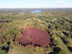 Vegetation monitoring and mapping is shown underway at the new Davey corporate training property in development. Vegetation monitoring and mapping is shown underway at the new Davey corporate training property in development.