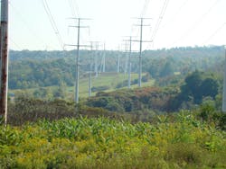 A comprehensive IVM program incorporates cultural and biological controls to maintain compatible plant communities. Cultural controls can include maintaining lawns or parks for recreational use beneath the wires. When compatible plant communities are established on the ROW, they bring biological controls with them: for instance, competing with and helping exclude incompatible plants. Photograph by Lewis Payne, New York Power Authority. A comprehensive IVM program incorporates cultural and biological controls to maintain compatible plant communities. Cultural controls can include maintaining lawns or parks for recreational use beneath the wires. When compatible plant communities are established on the ROW, they bring biological controls with them: for instance, competing with and helping exclude incompatible plants. Photograph by Lewis Payne, New York Power Authority.