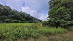 Workers performing low volume foliar applications of herbicide to remove incompatible vegetation on the ROW while leaving compatible plants intact. This is what ROW maintenance often looks like IVM, after the ROW has been converted to compatible vegetation cover. Photograph by Todd Hagenbuch, ARBORCHEM Products Workers performing low volume foliar applications of herbicide to remove incompatible vegetation on the ROW while leaving compatible plants intact. This is what ROW maintenance often looks like IVM, after the ROW has been converted to compatible vegetation cover. Photograph by Todd Hagenbuch, ARBORCHEM Products