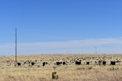 The Western Spirit Wind suite of four wind farms spans nearly 120,000 acres across three counties in New Mexico. The Western Spirit Wind suite of four wind farms spans nearly 120,000 acres across three counties in New Mexico.