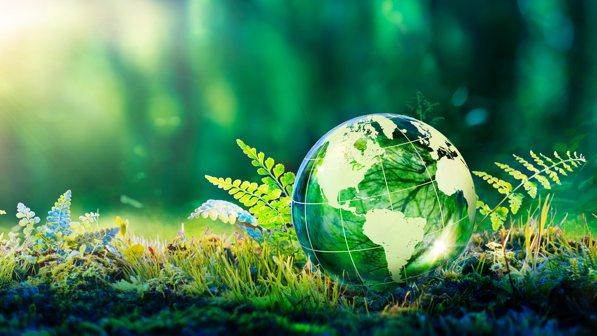 Getty Images 1309463809 62716bec3f6f6