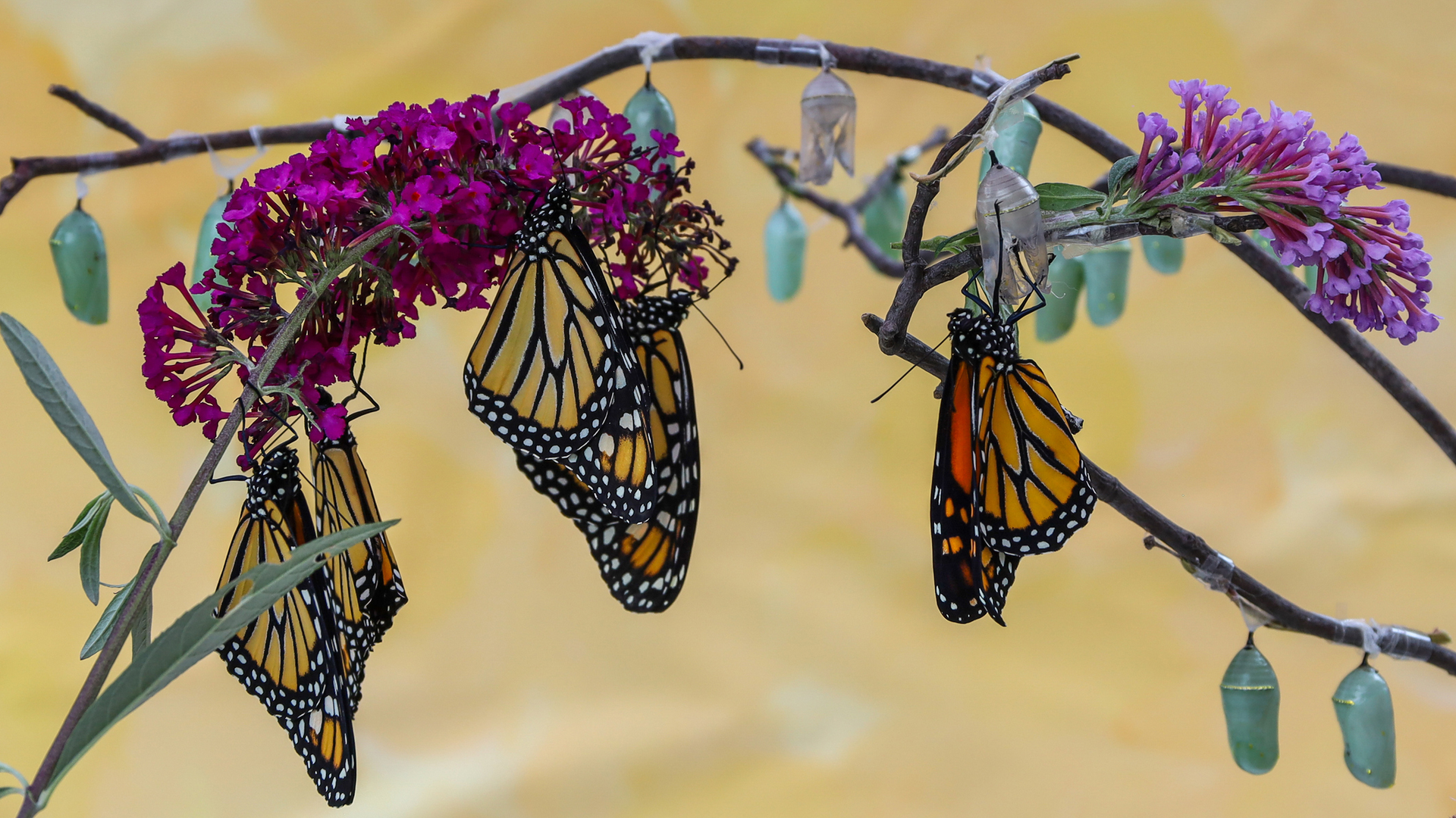 Getty Images 1337691974 628cf5414fee6