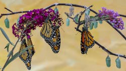 Getty Images 1337691974 628cf5414fee6 Getty Images 1337691974 628cf5414fee6