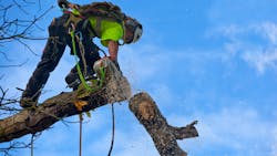 Getty Images 624988686 628b6cc7a0fb4 Getty Images 624988686 628b6cc7a0fb4