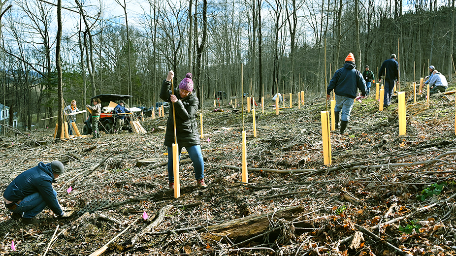 Jcp L Tree Planting 2022 Web 627a4468e2338