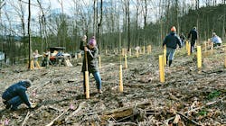 Jcp L Tree Planting 2022 Web 627a4468e2338 Jcp L Tree Planting 2022 Web 627a4468e2338