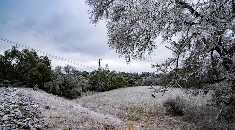 During last year&rsquo;s Winter Storm Uri, ice covered vegetation in PEC&rsquo;s service territory in Texas.