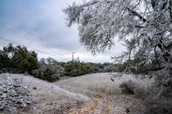 During last year’s Winter Storm Uri, ice covered vegetation in PEC’s service territory in Texas. During last year’s Winter Storm Uri, ice covered vegetation in PEC’s service territory in Texas.