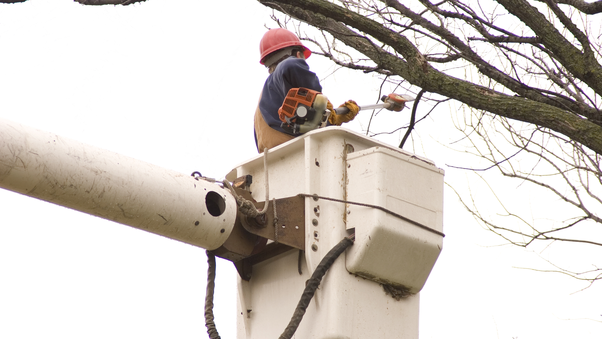 Dreamstime M 43978 627a74fd6b3e6