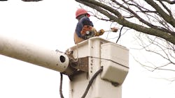 Dreamstime M 43978 627a74fd6b3e6 Dreamstime M 43978 627a74fd6b3e6