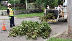 Fe Tree Trimming 4 627a964d1fcf1 Fe Tree Trimming 4 627a964d1fcf1