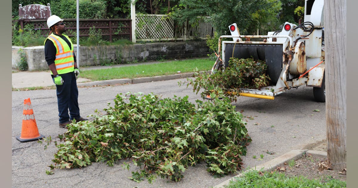 Potomac Edison s 2022 Tree Trimming Program Underway TD World potomac-edison-s-2022-tree-trimming-program-underway-td-world