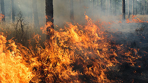 Ready For Wildfire Season