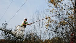 Te Veg Management 6279d111e5dbc Te Veg Management 6279d111e5dbc