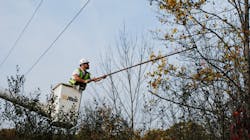 Te Veg Management 627a932756bd5 Te Veg Management 627a932756bd5