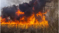 Wildfire