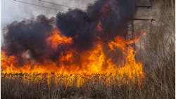 Wildfire 628e7ecb8b173 Wildfire 628e7ecb8b173