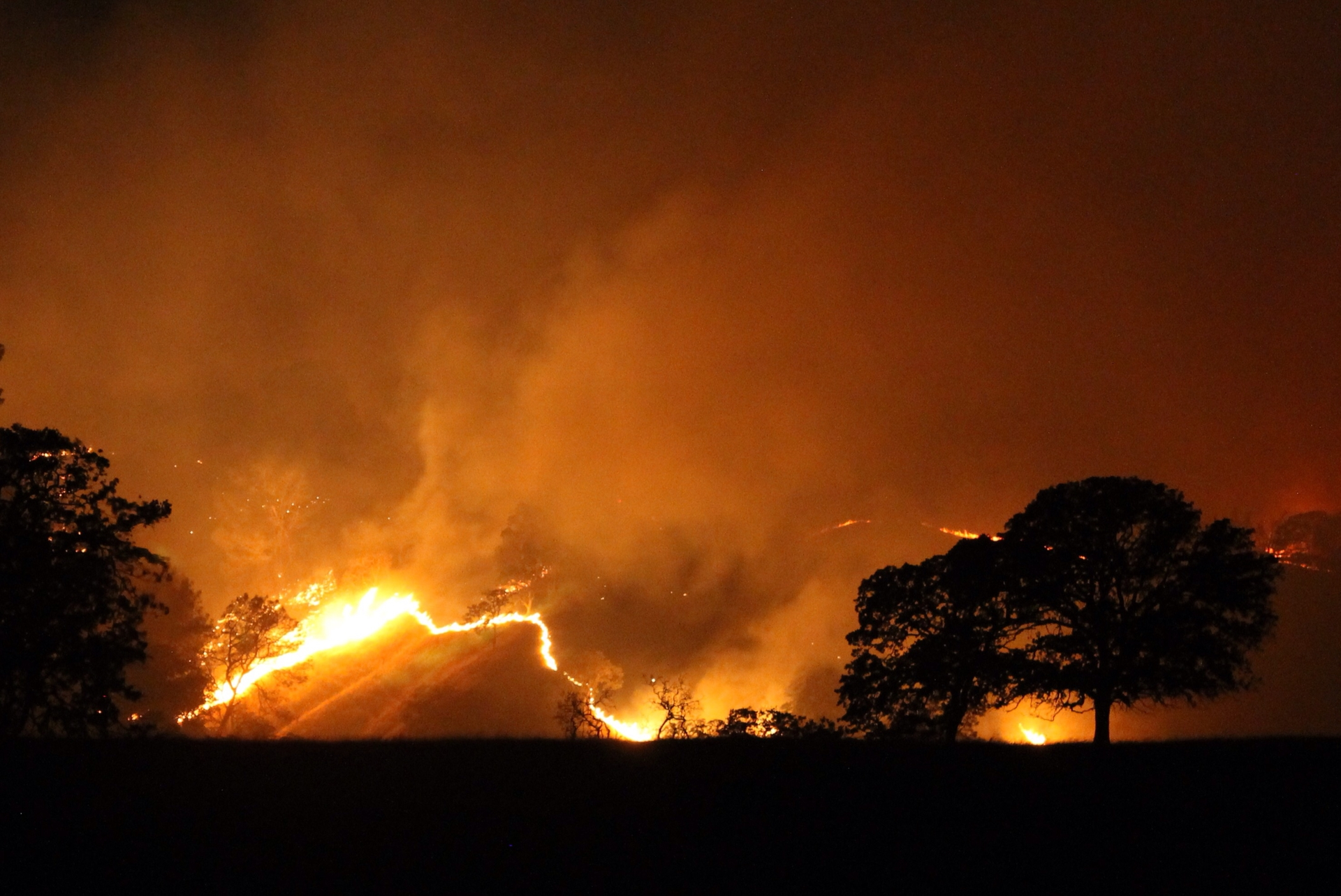 Adam Wiedmann Dreamstime 627be5f2d1845