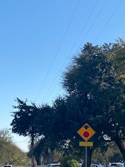 These examples of V-Cut (left) and L-Cut (right) directional pruning create challenges for accurate satellite-based encroachment detection. These examples of V-Cut (left) and L-Cut (right) directional pruning create challenges for accurate satellite-based encroachment detection.