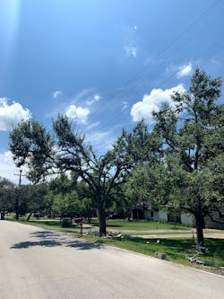 These examples of V-Cut (left) and L-Cut (right) directional pruning create challenges for accurate satellite-based encroachment detection. These examples of V-Cut (left) and L-Cut (right) directional pruning create challenges for accurate satellite-based encroachment detection.