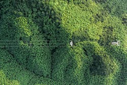 The FPL service territory includes more than 85,000 miles of power lines in 43 counties spanning two time zones with many species of trees and vegetation. The FPL service territory includes more than 85,000 miles of power lines in 43 counties spanning two time zones with many species of trees and vegetation.