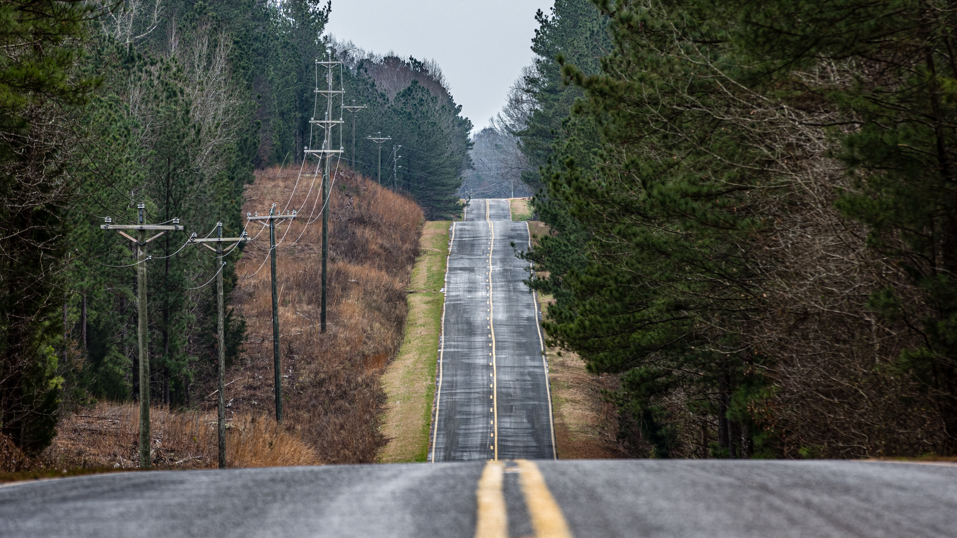 E Source modeling often shows low-risk vegetation management work eating up large amounts of O&M budgets.