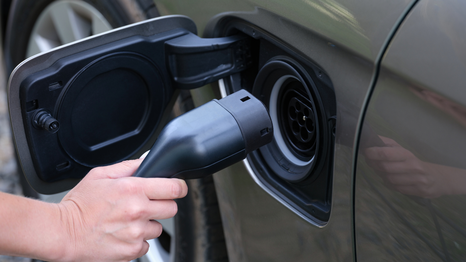 Biden Harris 62a7413748c41