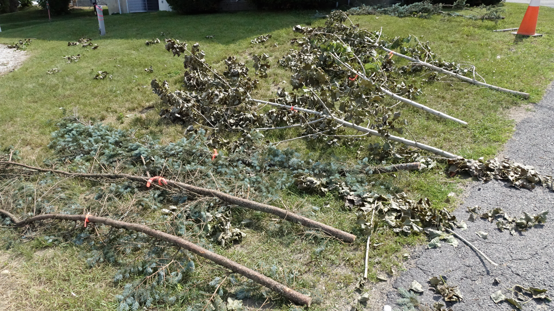 These branches were used during branch retention testing.