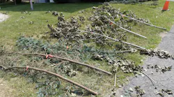 These branches were used during branch retention testing.