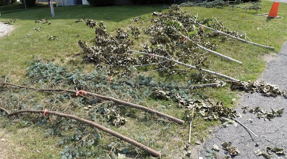 These branches were used during branch retention testing.
