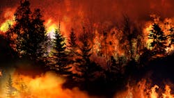 Getty Images 1333314611 629f7fba59ac8 Getty Images 1333314611 629f7fba59ac8