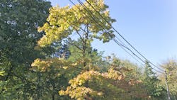 Getty Images 863746812 62b0beb695b83 Getty Images 863746812 62b0beb695b83