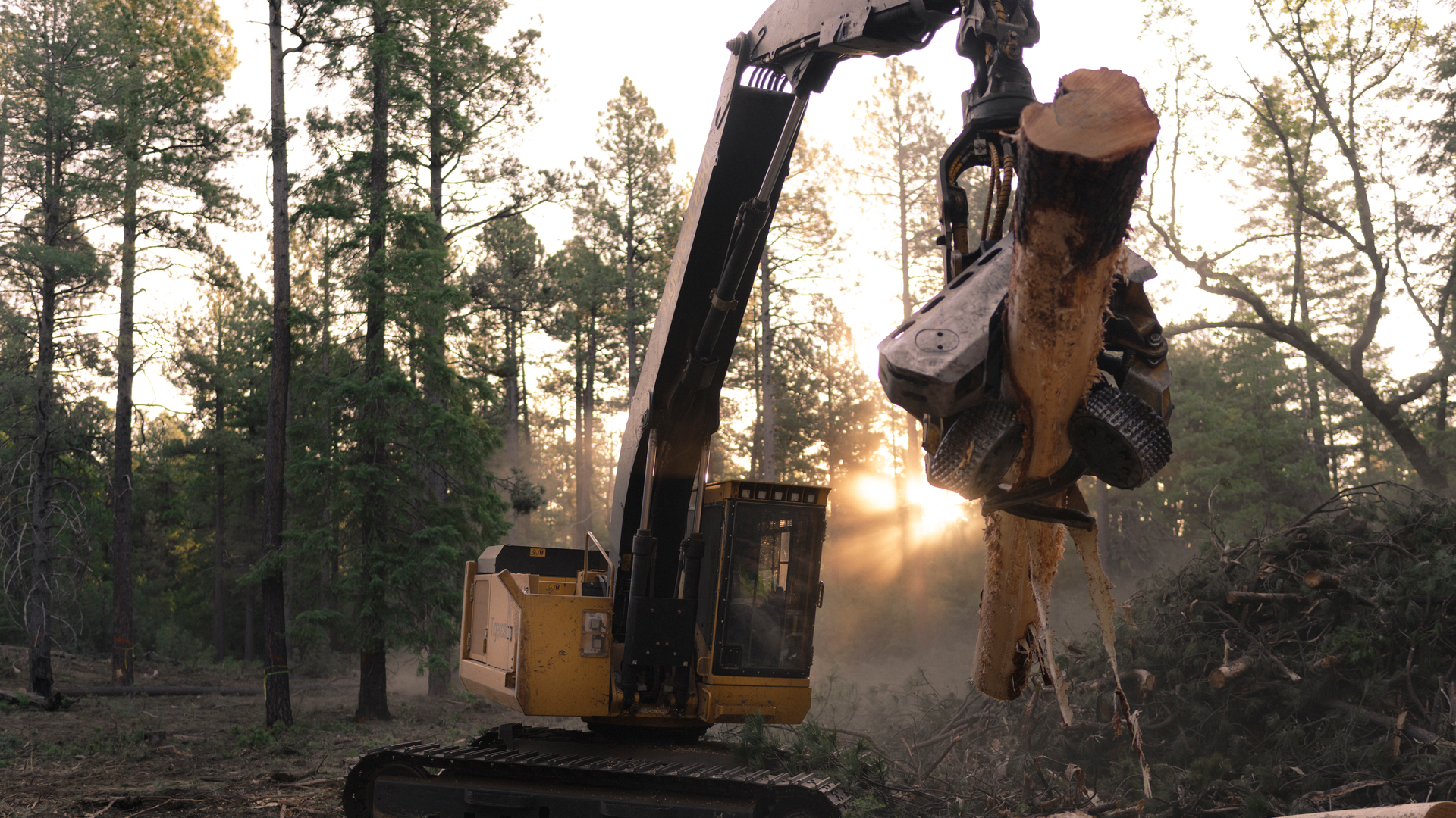 Bakerthinningprojecthfi7 62b62606905a0