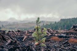 Dsc04325 62a8f5d730e57 Dsc04325 62a8f5d730e57