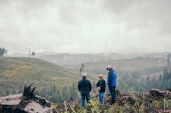 Conducting regular inspections is an effective way for vegetation managers to prioritize treatment sites from one year to the next. Conducting regular inspections is an effective way for vegetation managers to prioritize treatment sites from one year to the next.