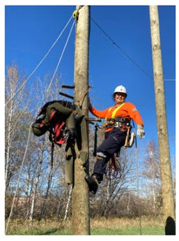 After an introduction to electrical theory and project specific trainees engaged in 7 week of field - basic safety hoisting and rigging; electrical safety high voltage, securing anchors; rescue practices; ladder handling; and electrical safety, to name a few.