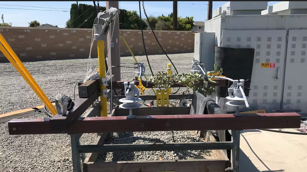 Sce Conductor 62d6d3cc840b6