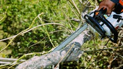 Getty Images 155389631 1 6303d58fcf1f7 Getty Images 155389631 1 6303d58fcf1f7