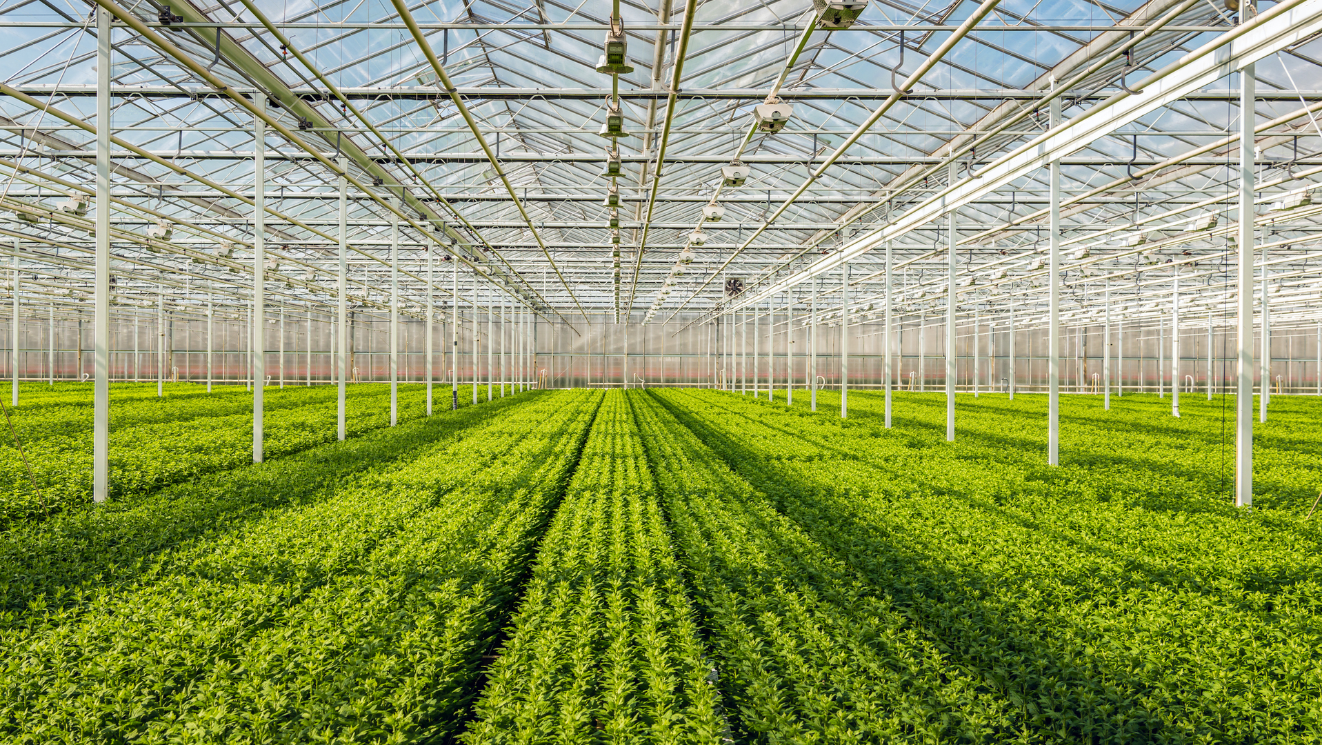 Getty Images 670157616 630cf1e1ab7a0