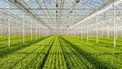 Getty Images 670157616 630cf1e1ab7a0 Getty Images 670157616 630cf1e1ab7a0