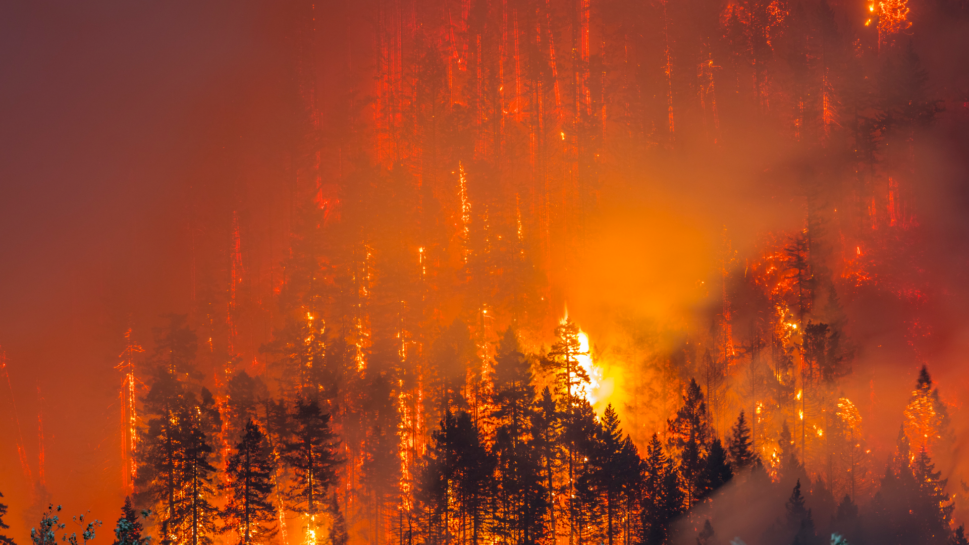 Getty Images 853911824 1 6303d8fa15179