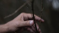 1 Effective Control 1 Effective Control