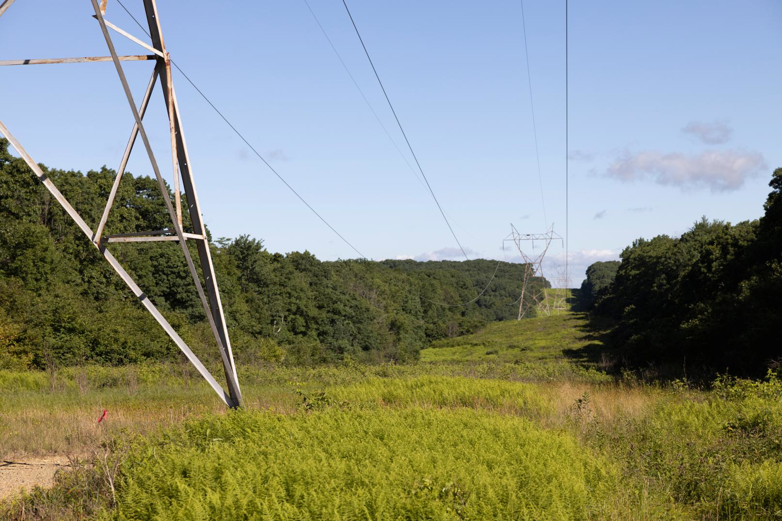 3 O8 A4319 6306446d28cb3