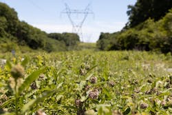 3 O8 A4512 3 O8 A4512